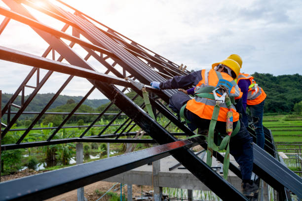 Best Roof Inspection Near Me  in Shields, MI